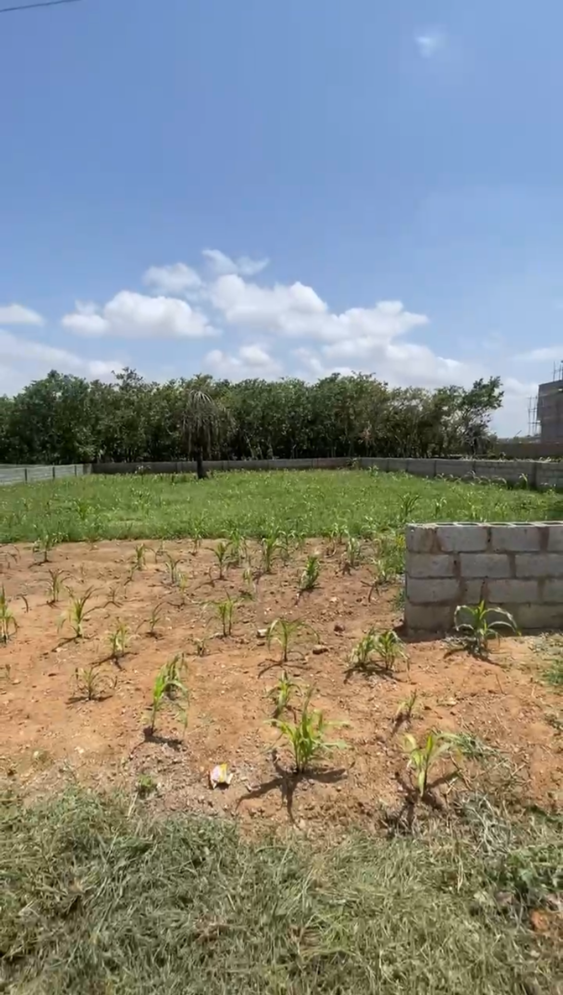 🏗️ Prime Plot. Premium Location. Power Move.