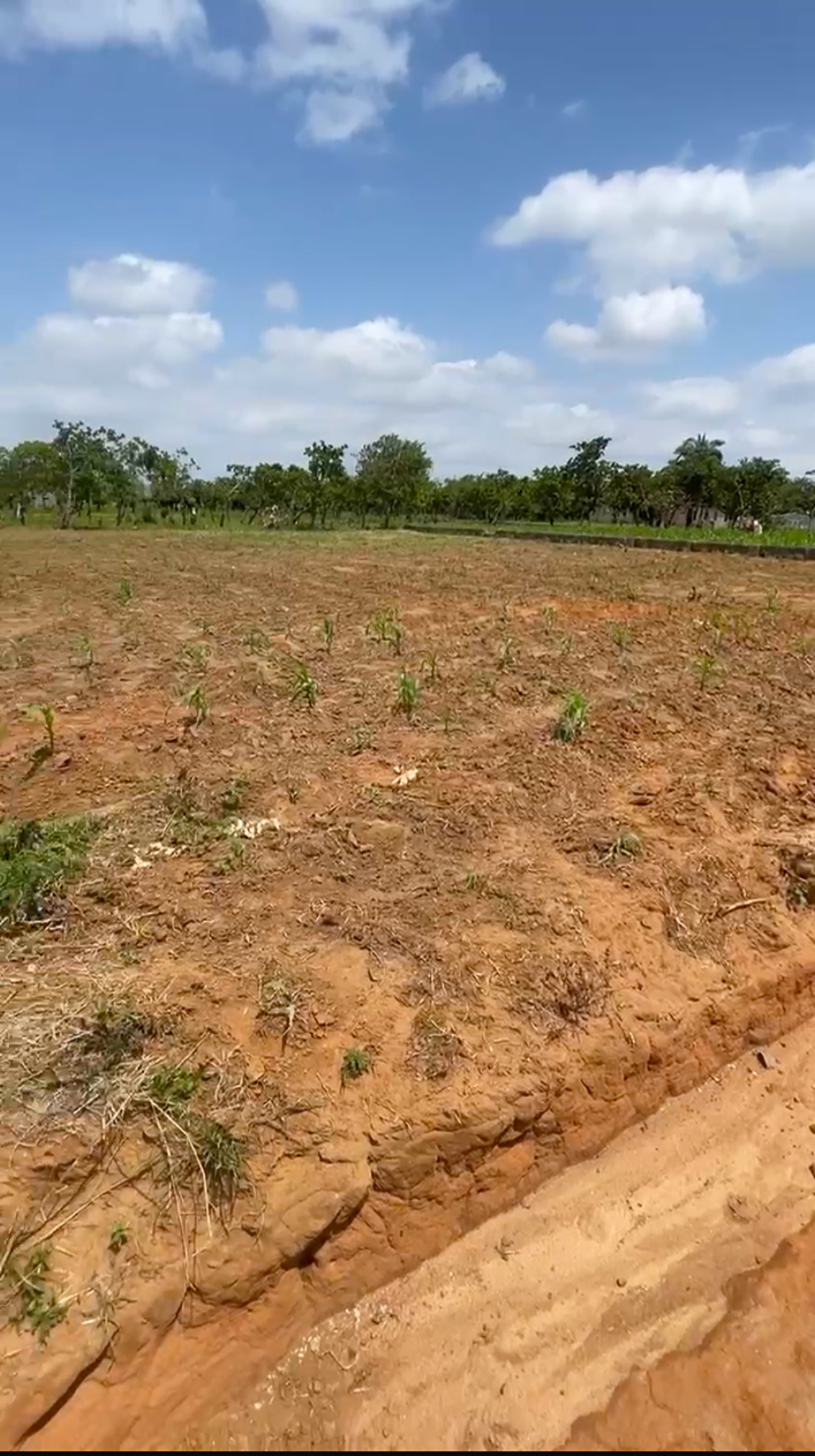 🌟 1,484 SQM of Prime Life Camp Land — Rare. Ready. Rewarding.