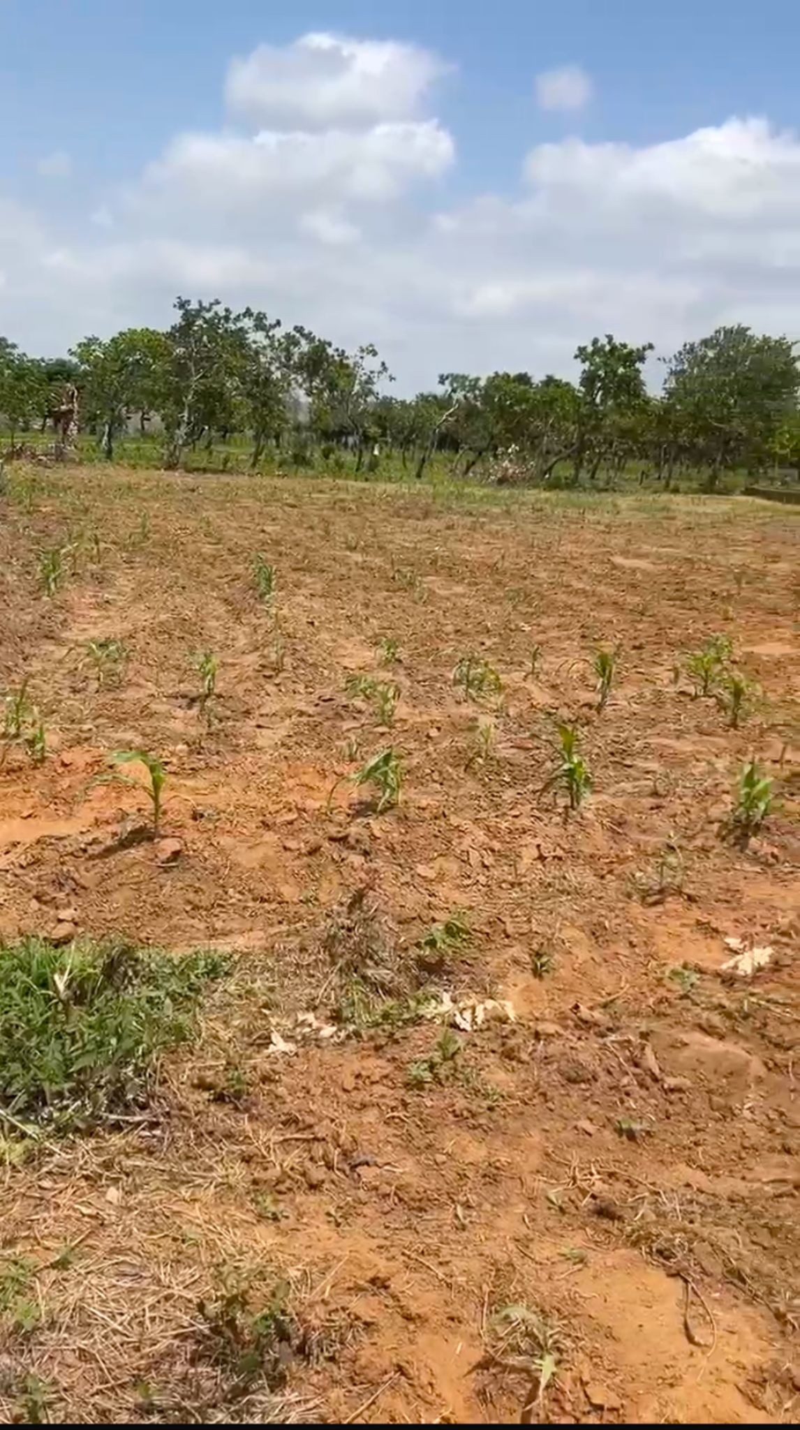 🌟 1,484 SQM of Prime Life Camp Land — Rare. Ready. Rewarding.