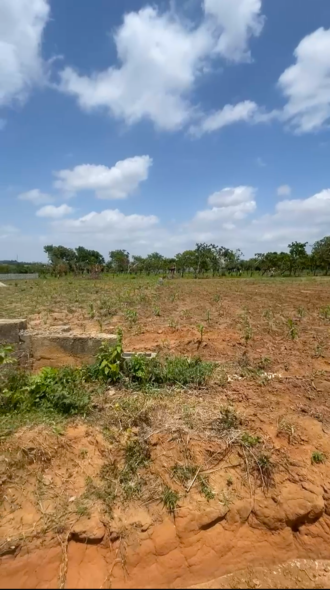 🌟 1,484 SQM of Prime Life Camp Land — Rare. Ready. Rewarding.