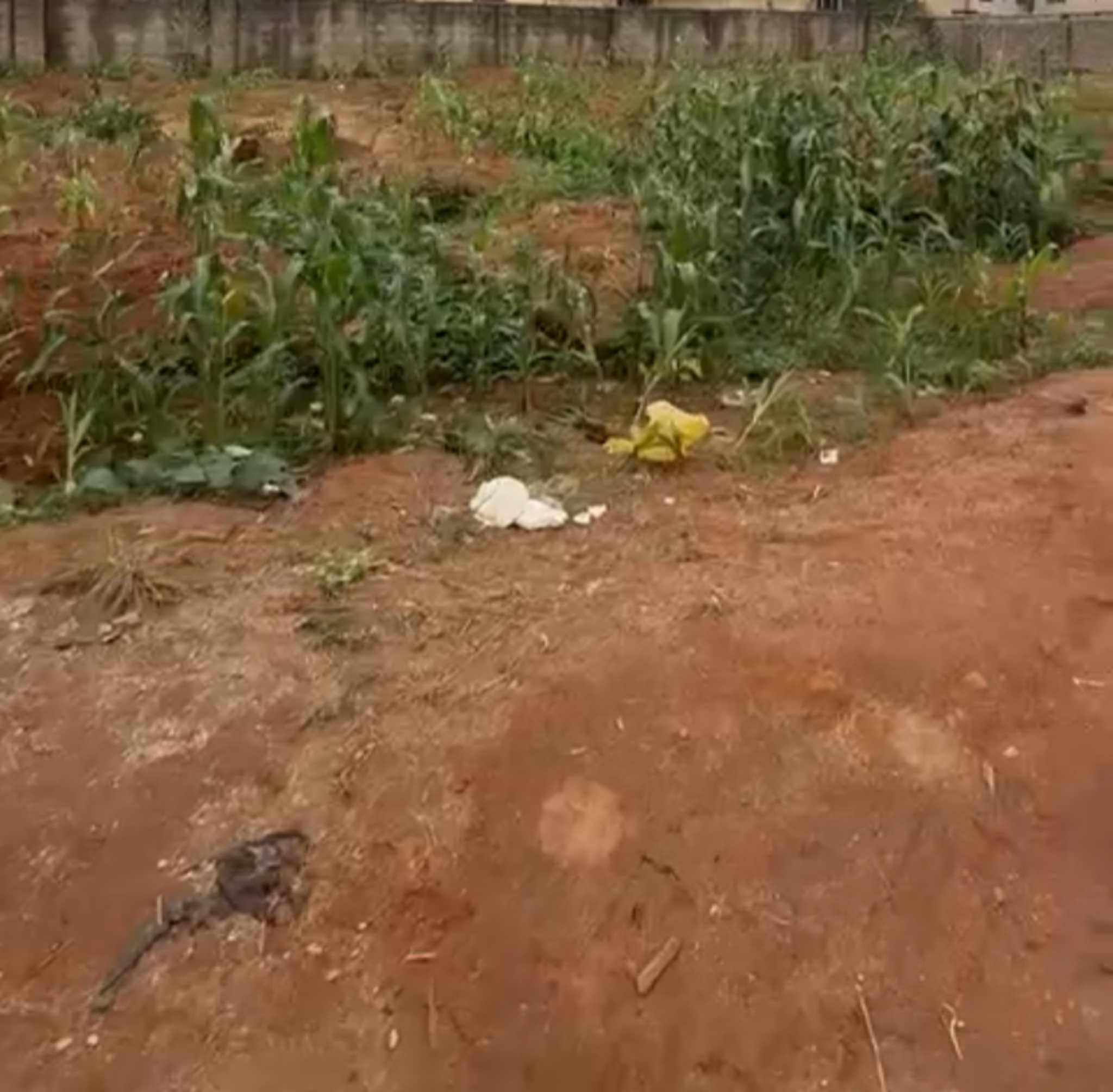 🔥 Distress Sale Alert — Prime 972SQM Plot in Jahi, Abuja 📍