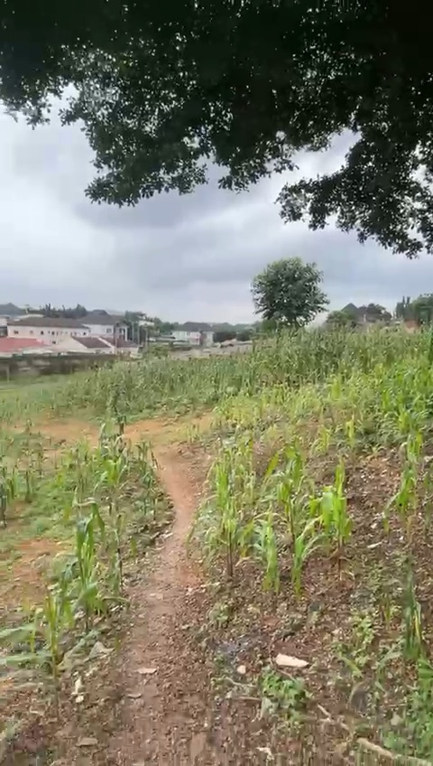 🌟 Newest Listing Alert – Prime Land in Gwarinpa Main 🌟