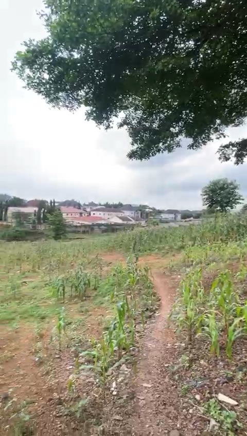 🌟 Newest Listing Alert – Prime Land in Gwarinpa Main 🌟