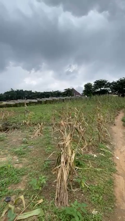 🌟 Newest Listing Alert – Prime Land in Gwarinpa Main 🌟